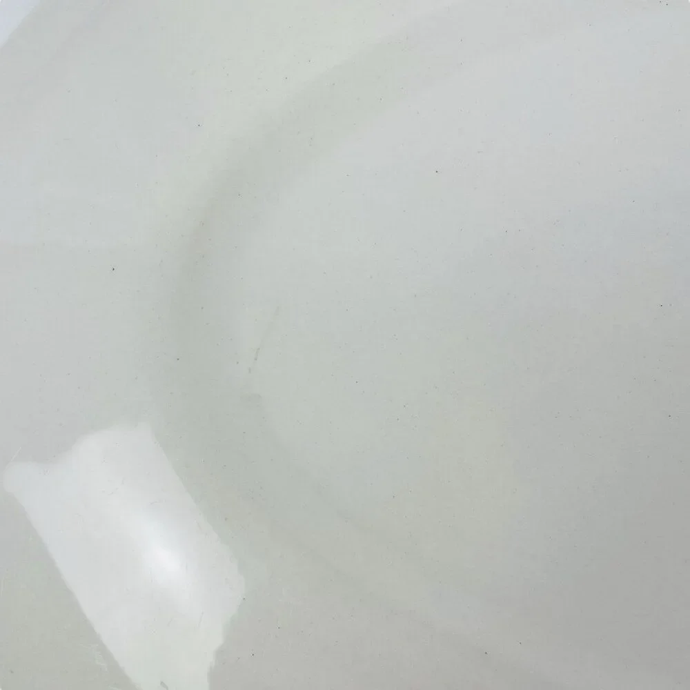 Royal China vintage mcm